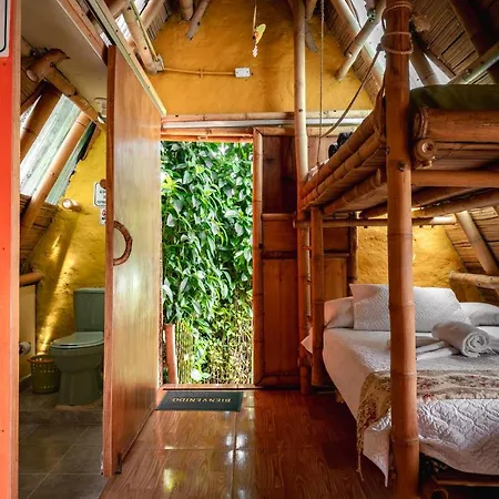 Chalet Ecoturismo La Nohelia Jericoc  Exterior photo