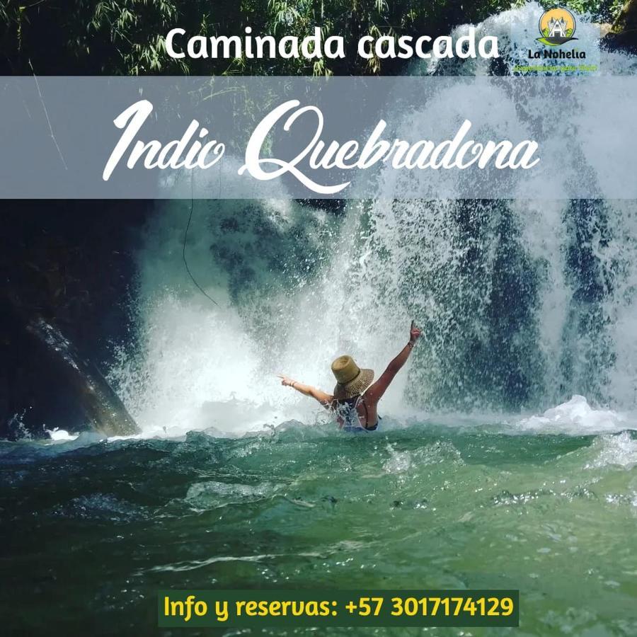 Campsite Ecoturismo La Nohelia 2*